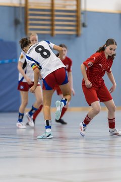 Bild 248 - wBJ NFV Futsalmeisterschaft